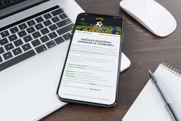 Portfolio johnny10 KS Harnaś Tymbark responsive web design iphone