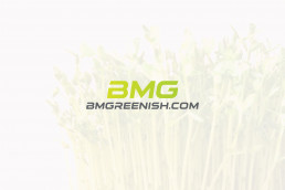 logo bmgreenish